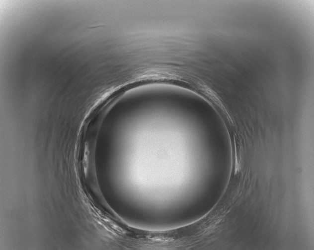 X0000060230387200510311553