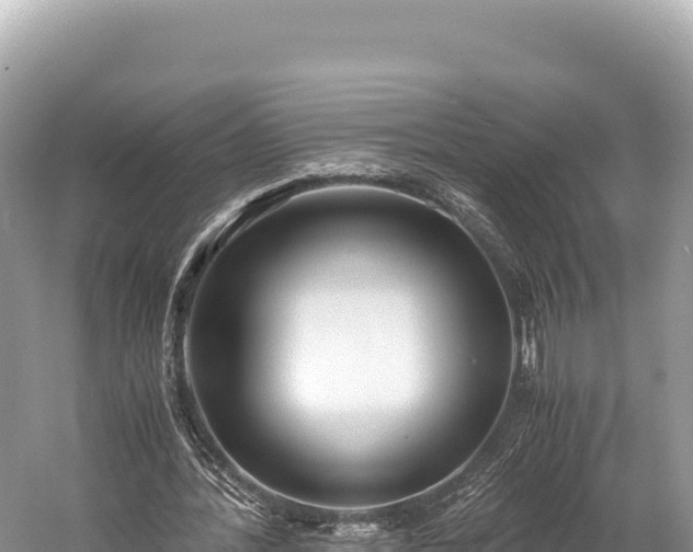 X0000060230388200510311553