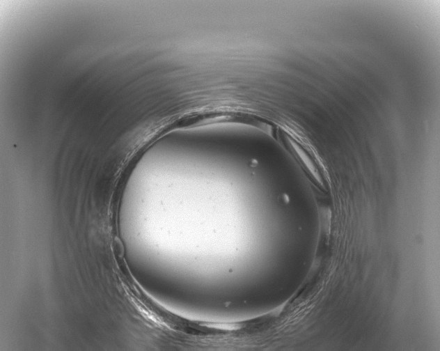 X0000060230389200510311553