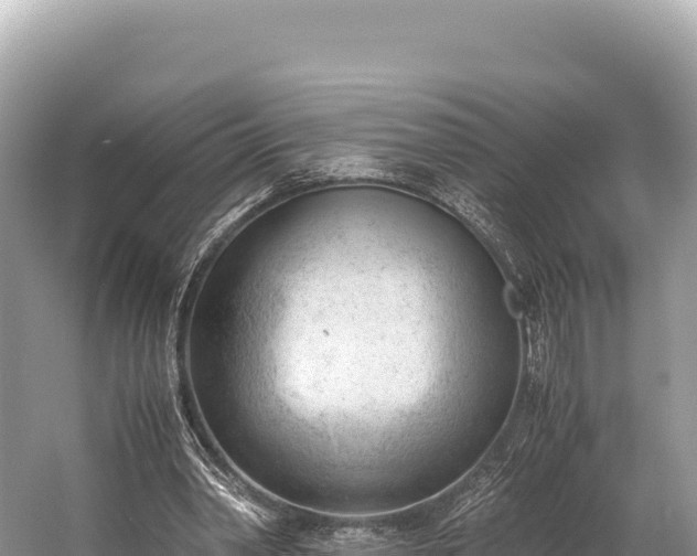 X0000060230390200510311553