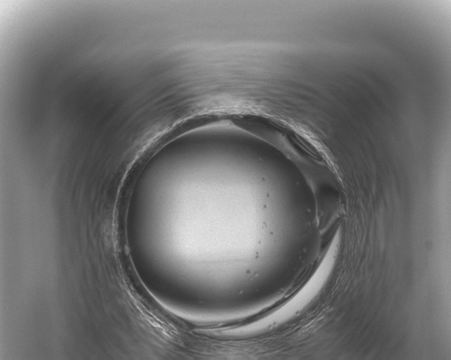 X0000060230391200510311553