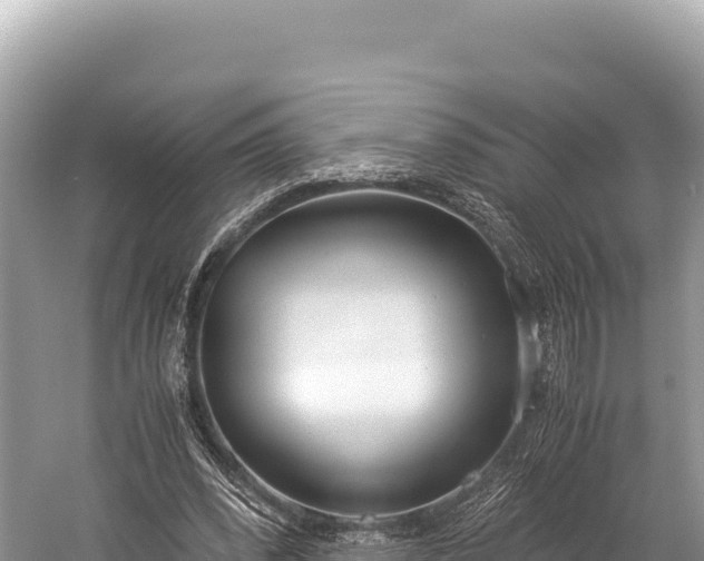 X0000060230392200510311553