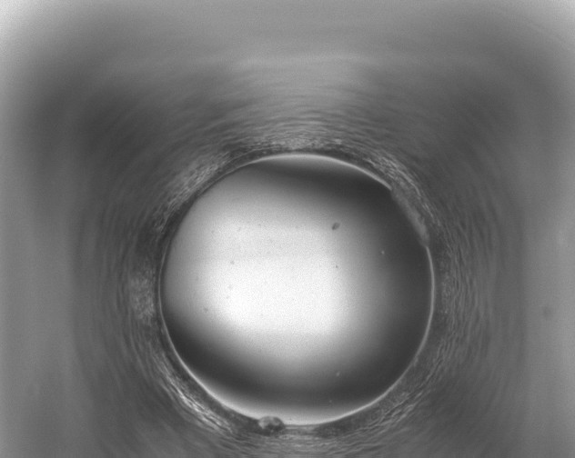 X0000060230393200510311553