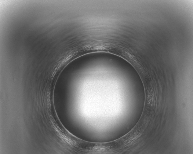 X0000060230394200510311553