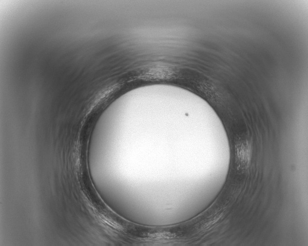 X0000060230396200510311553