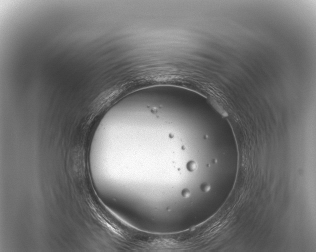 X0000060230397200510311553