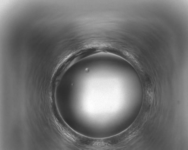 X0000060230399200510311553