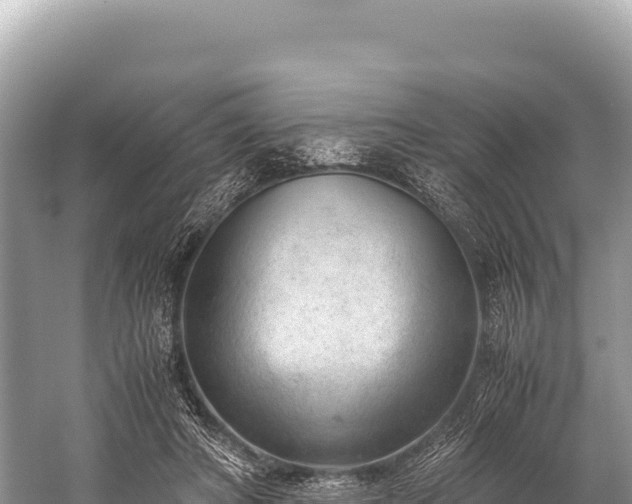 X0000060230402200510311553