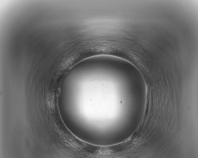 X0000060230403200510311553