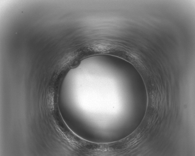 X0000060230404200510311553