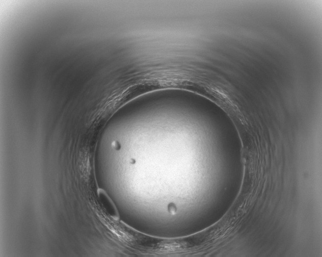 X0000060230405200510311553