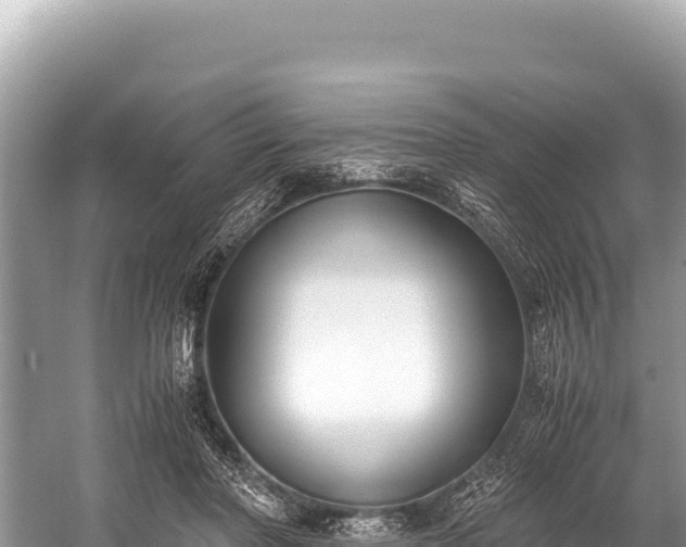 X0000060230406200510311553