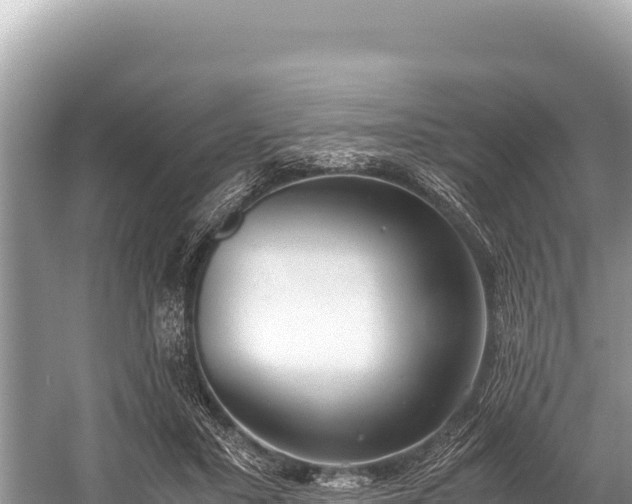 X0000060230407200510311553