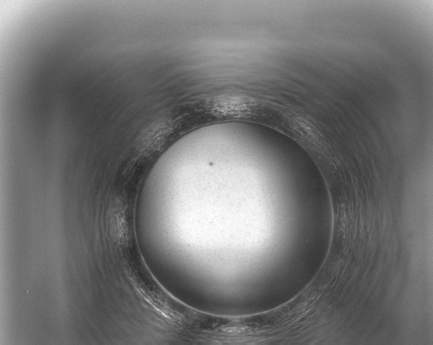 X0000060230408200510311553