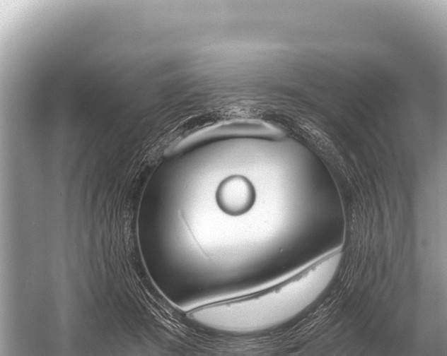 X0000060230409200510311553