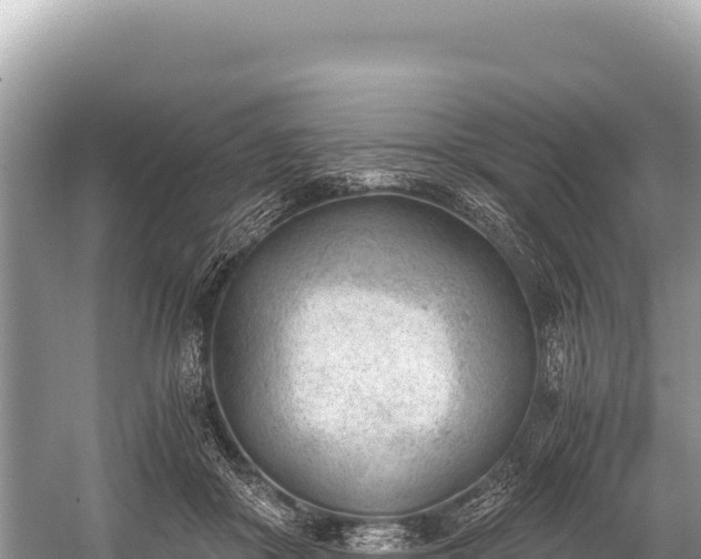 X0000060230410200510311553