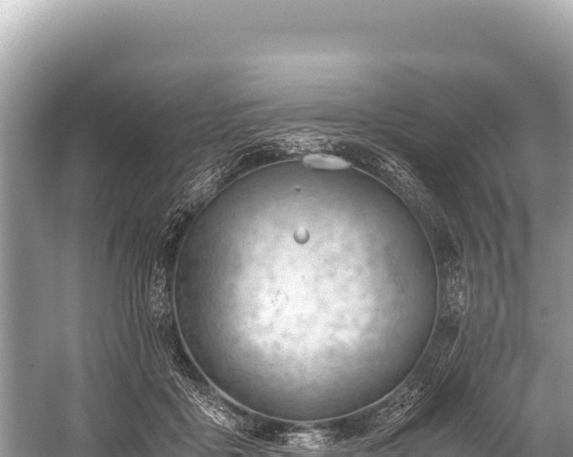 X0000060230411200510311552