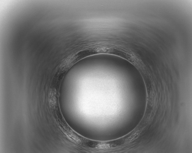 X0000060230413200510311552