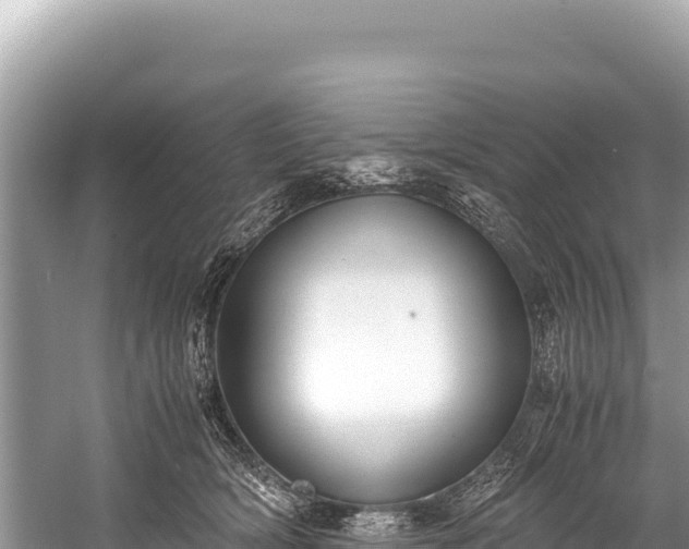 X0000060230418200510311552