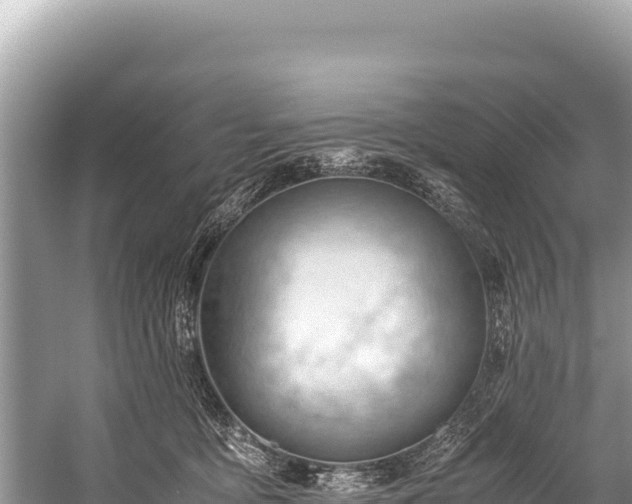 X0000060230419200510311552