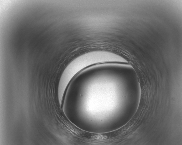 X0000060230421200510311552