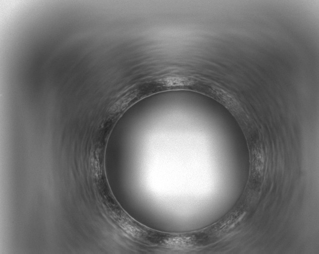 X0000060230422200510311552