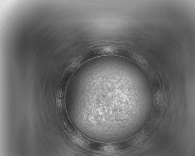 X0000060230423200510311552