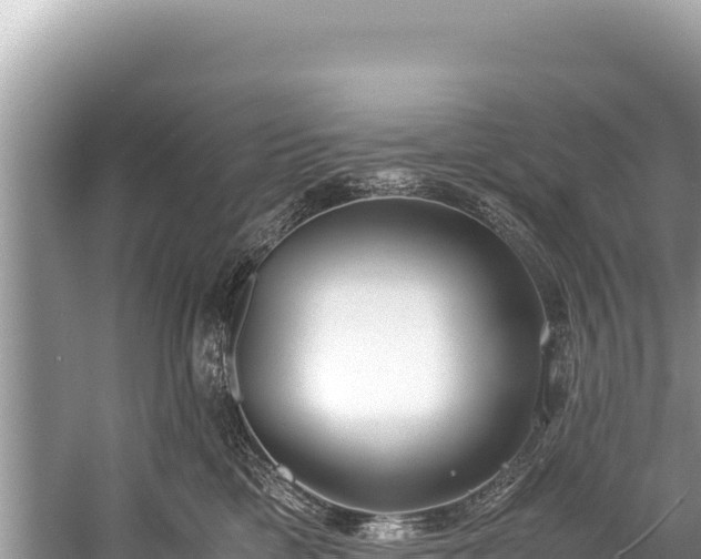 X0000060230425200510311552