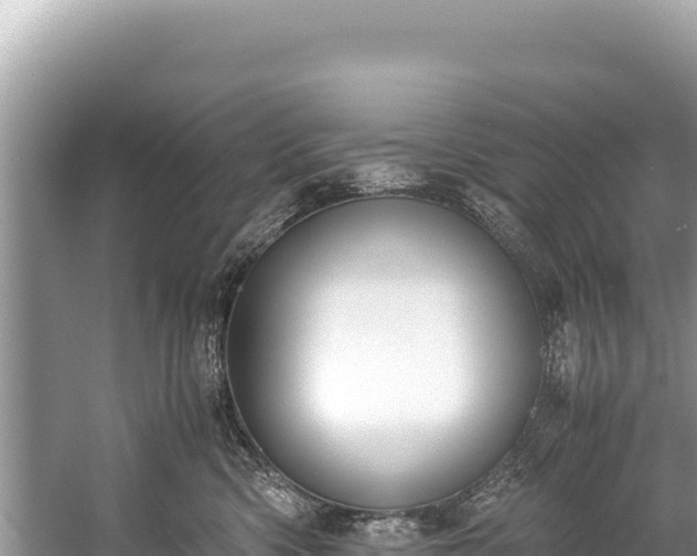 X0000060230426200510311552