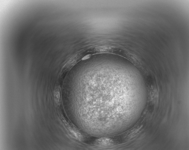 X0000060230427200510311552