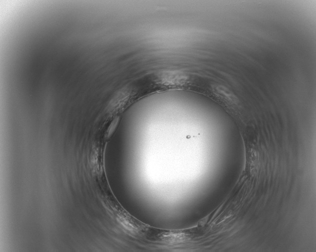 X0000060230428200510311552