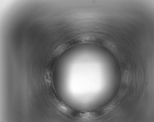 X0000060230430200510311552