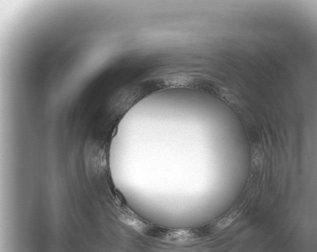 X0000060230431200510311552