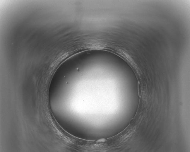 X0000060230433200510311551