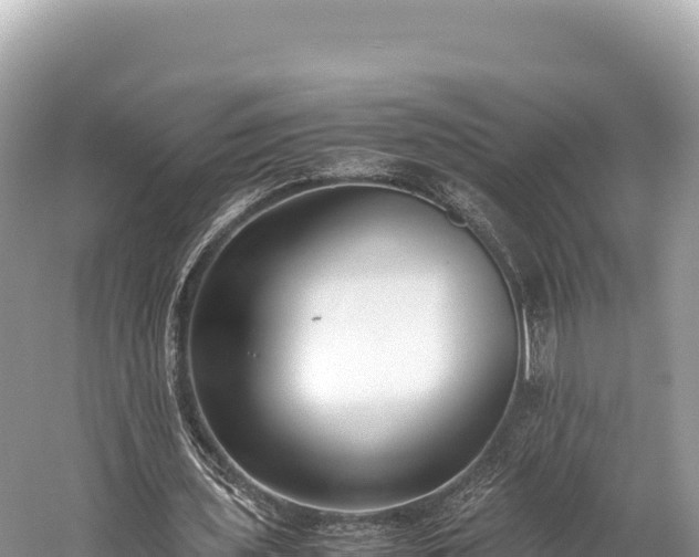 X0000060230435200510311551