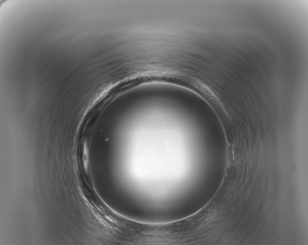 X0000060230436200510311551