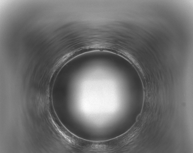 X0000060230437200510311551