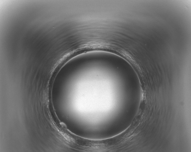 X0000060230438200510311551