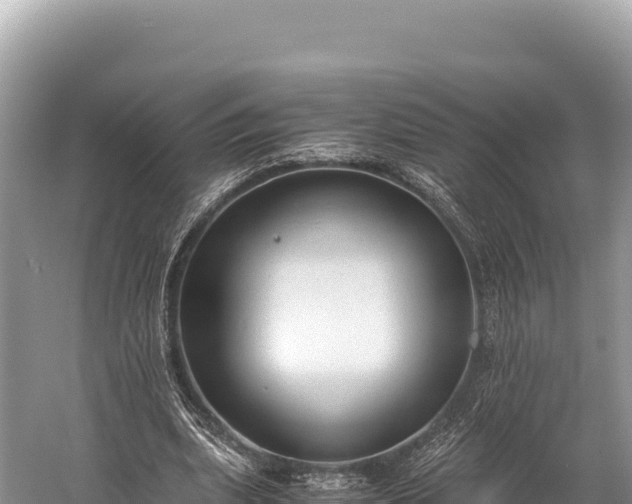 X0000060230439200510311551