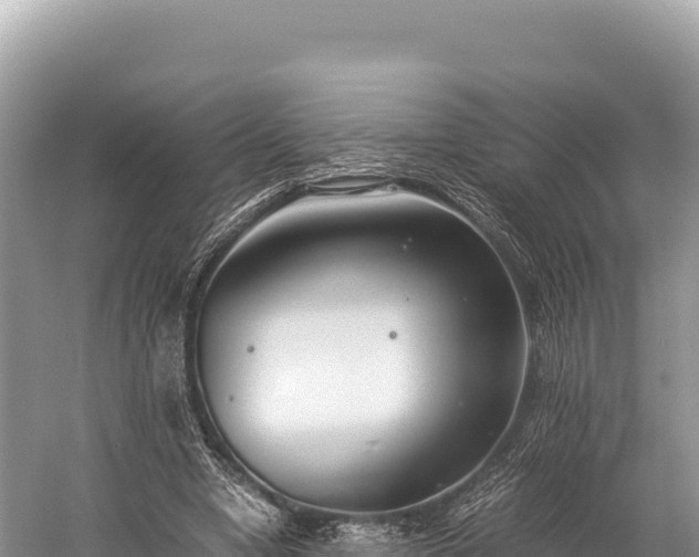 X0000060230442200510311551