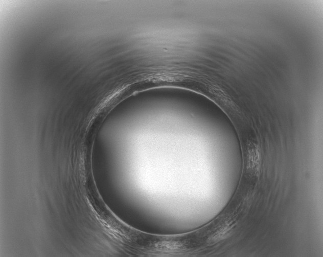 X0000060230444200510311552