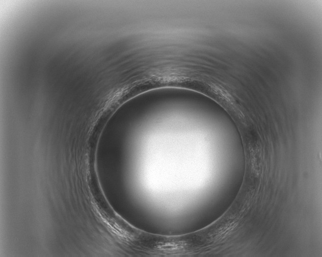 X0000060230447200510311552