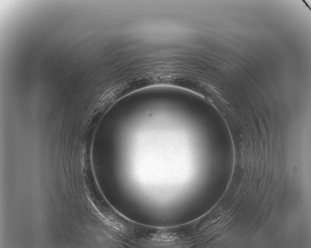 X0000060230451200510311552