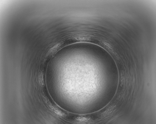 X0000060230453200510311552