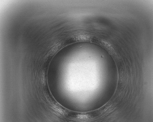 X0000060230457200510311552