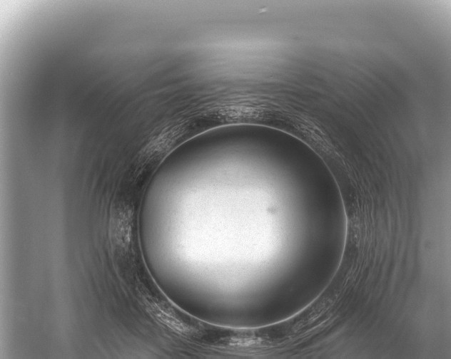 X0000060230458200510311552