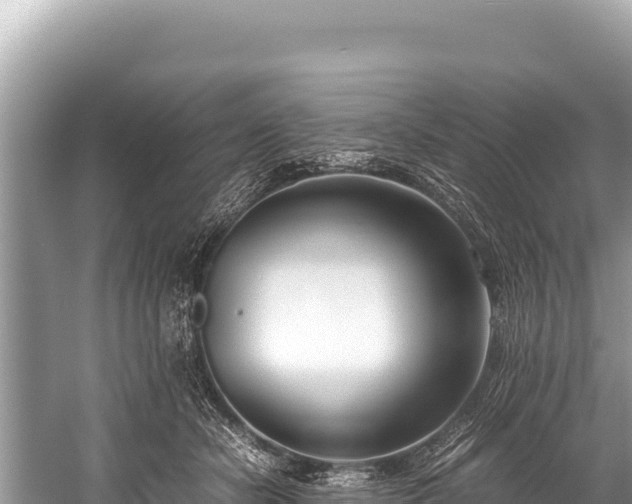 X0000060230462200510311552