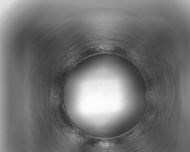 X0000060230464200510311552