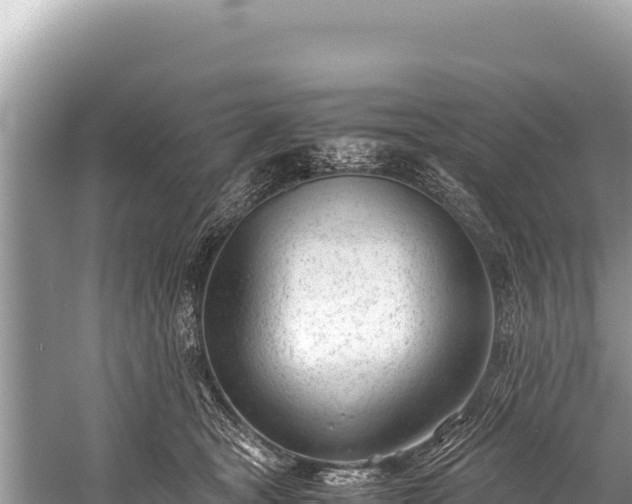 X0000060230465200510311552