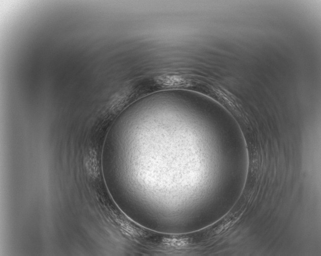 X0000060230469200510311552